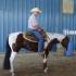 Tennessee Paint Horse Show